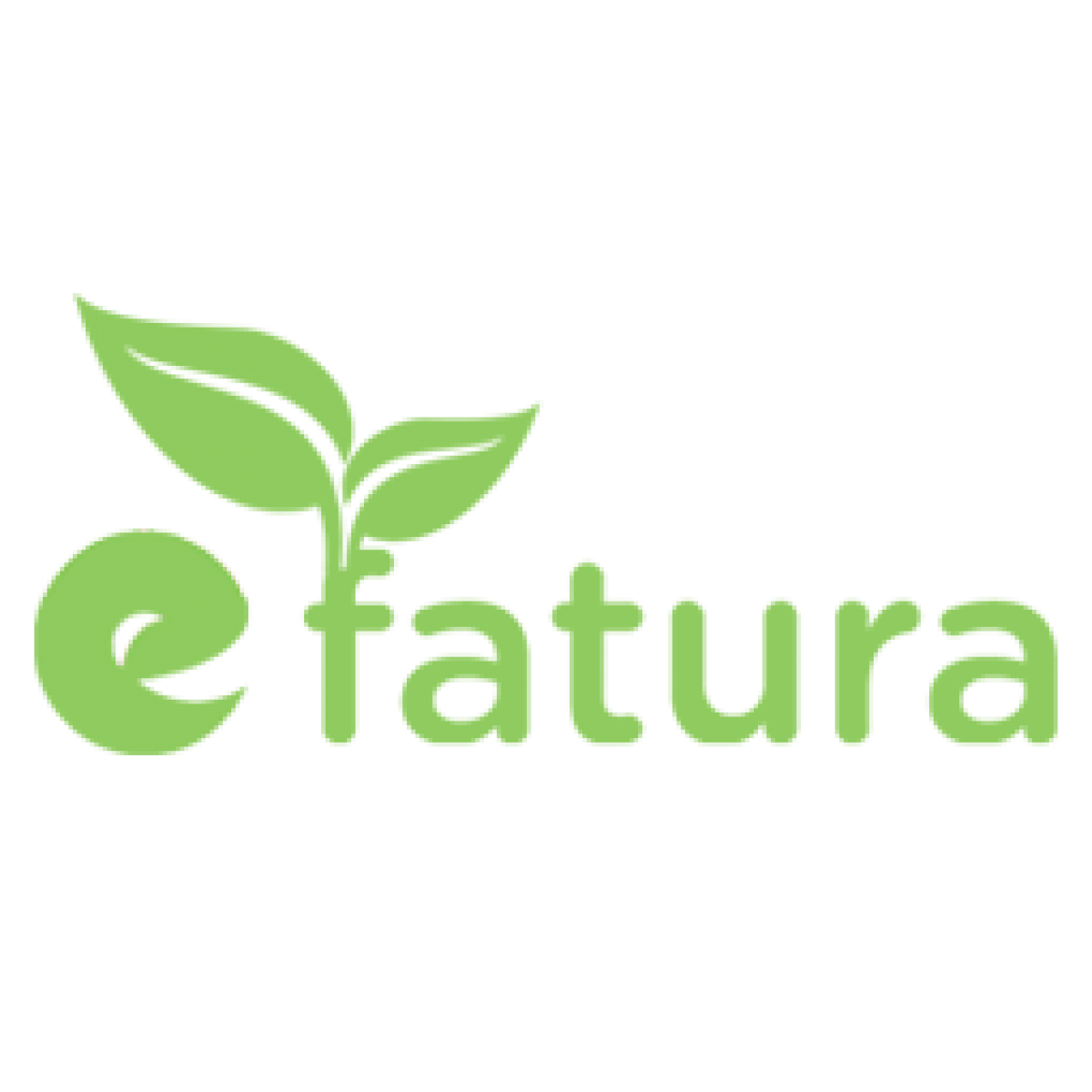 e-Fatura Hakkında
